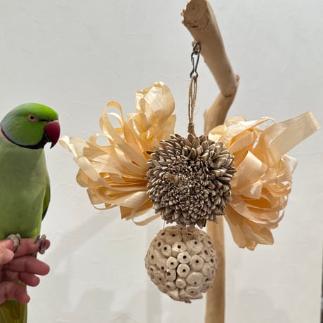 国産檜のリボンぼんぼん  【インコのおもちゃ・ストレス発散・ガジガジ】