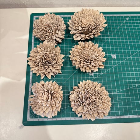 【juntamaru様専用】カクタスパーチ 直径約3-3.5cm 【サボテンの骨 バンブルフット予防 止まり木】