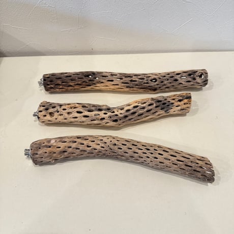 【Mie様専用】カクタスパーチ 直径約3-3.5cm 【サボテンの骨 バンブルフット予防 止まり木】
