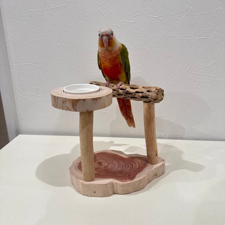 CATEGORY スタンドパーチ | 自然木の鳥用品 鳥豆堂【トリマメドウ