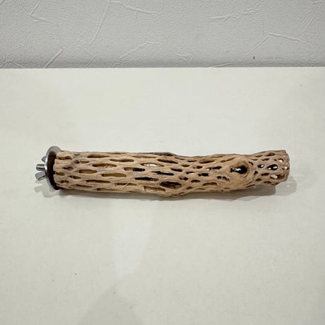 カクタスパーチ【①極小】15cm 直径約2.5-3cm【サボテンの骨 バンブルフット予防 インコ 止まり木】