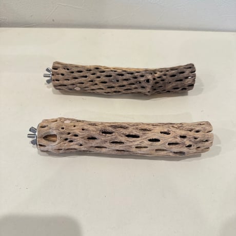 【Mie様専用】カクタスパーチ 直径約3-3.5cm 【サボテンの骨 バンブルフット予防 止まり木】