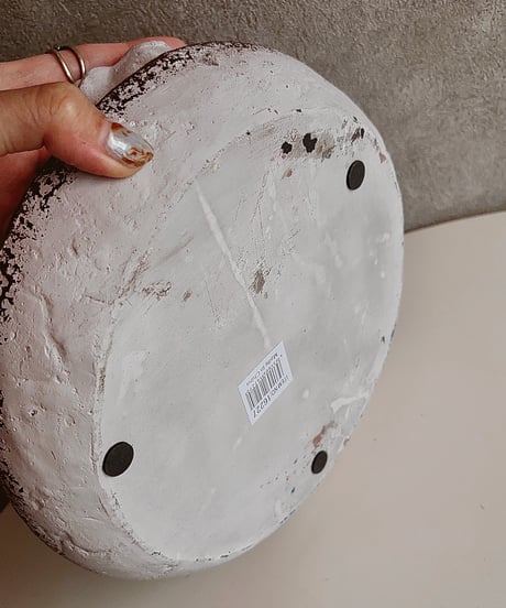 cement bird tray