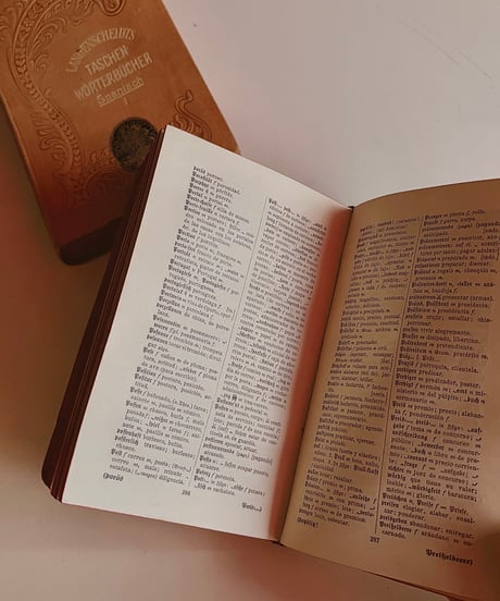 【スペイン蚤の市】vintage oldbook