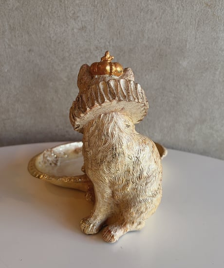 royal cat tray