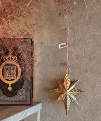 ornament star
