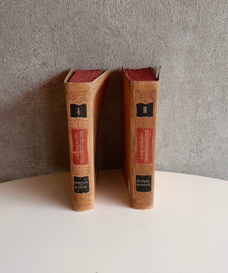 【スペイン蚤の市】vintage oldbook