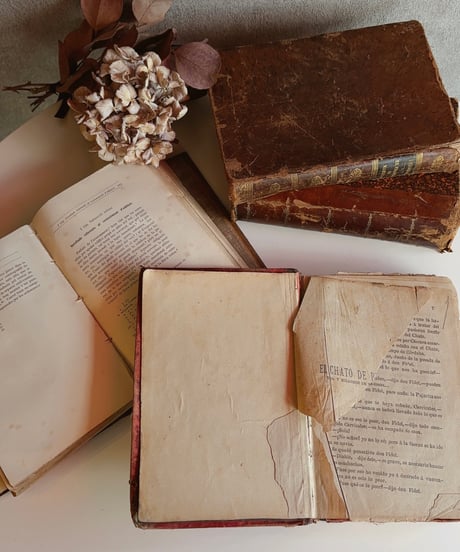 【スペイン蚤の市】vintage oldbook    Lsize
