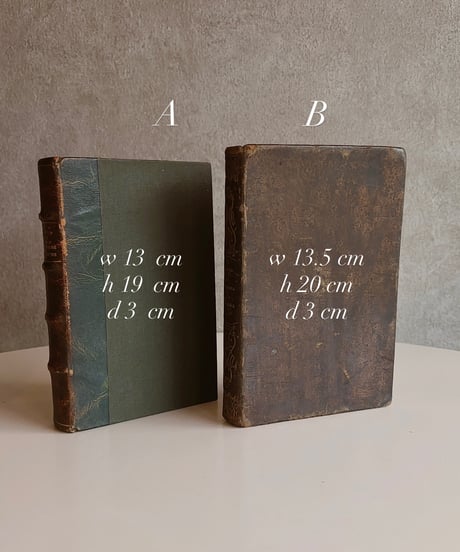 【スペイン蚤の市】vintage oldbook
