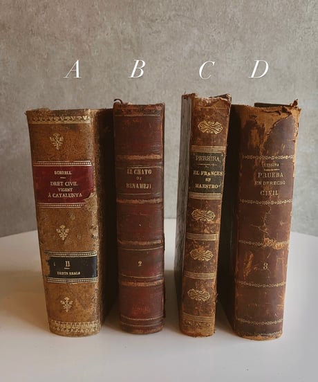 【スペイン蚤の市】vintage oldbook    Lsize