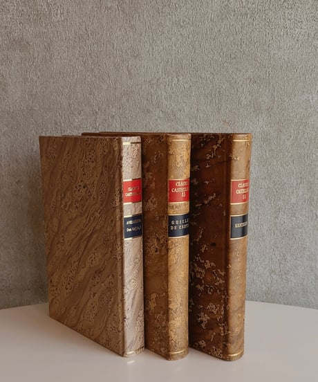 【スペイン蚤の市】vintage oldbook    Msize