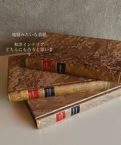 【スペイン蚤の市】vintage oldbook    Msize