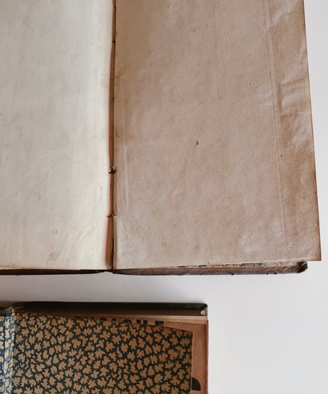 【スペイン蚤の市】vintage oldbook