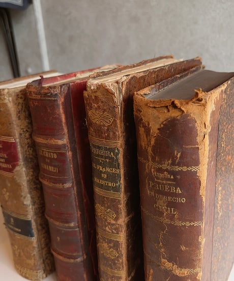 【スペイン蚤の市】vintage oldbook    Lsize