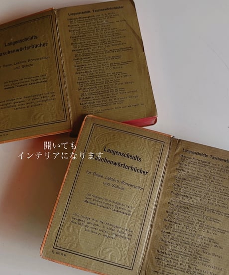 【スペイン蚤の市】vintage oldbook