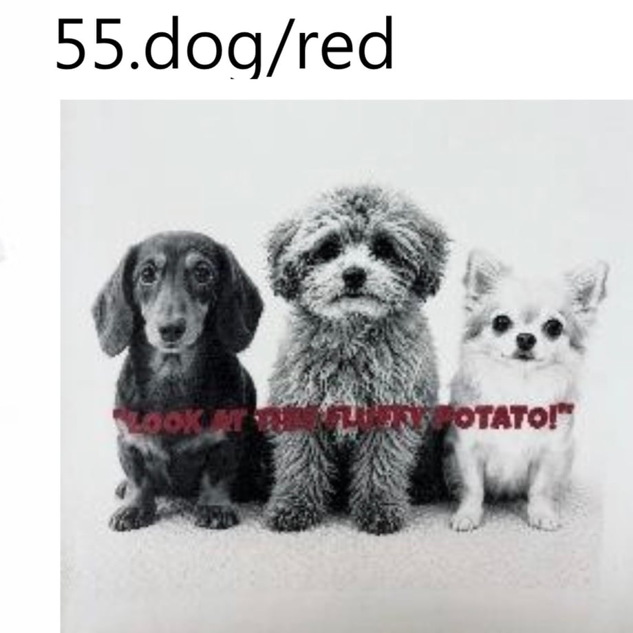 6ac653e5a8c19c671ccc7ca9