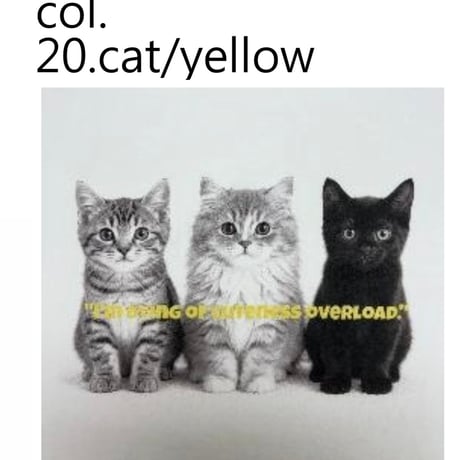 【siro de labonte 2027 SS】dog or cat? Tshirt(ユニセックス）