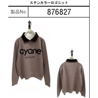 876827ステンカラーロゴニット