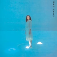 （国内LP / NEW）伊藤美奈子 MINAKO ITO / 誘魚灯