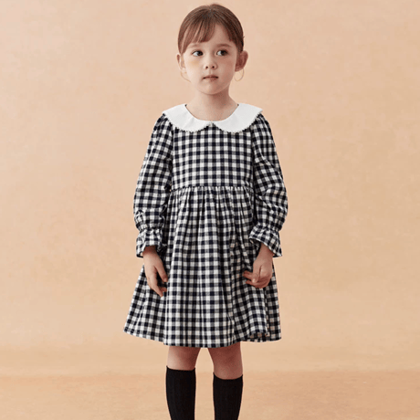 [予約] Navy Gingham Collar Dress