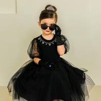 [予約] Audrey Accessories Set (3 pcs)/ Mini Recipe