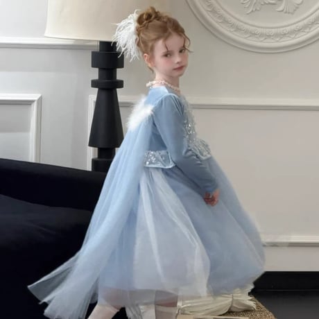 [予約] Winter Glass Dress (A type, B type)