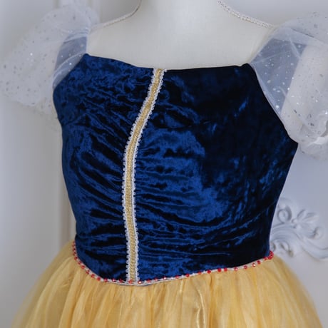 [予約] Midnight Gold Princess Dress (Adult)