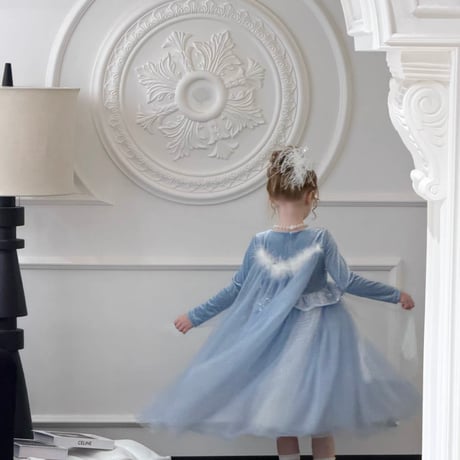 [予約] Winter Glass Dress (A type, B type)