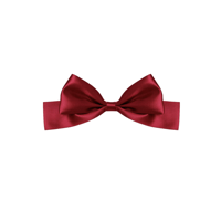 [予約] Ruby Satin Ribbon Pin