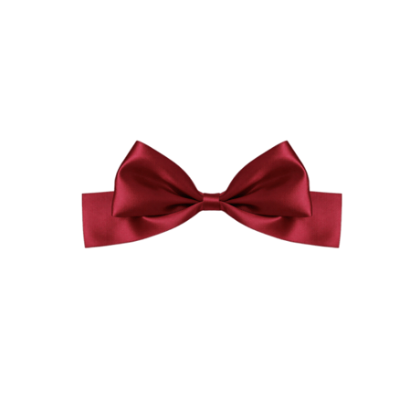 [予約] Ruby Satin Ribbon Pin