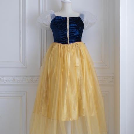 [予約] Midnight Gold Princess Dress (Adult)