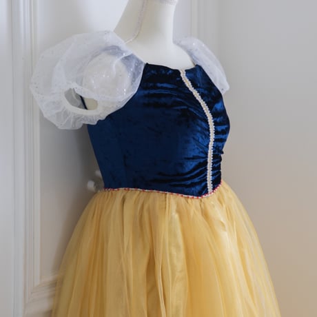 [予約] Midnight Gold Princess Dress (Adult)
