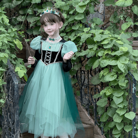 [予約] Evergreen Waltz Princess Dress (&Cape SET)