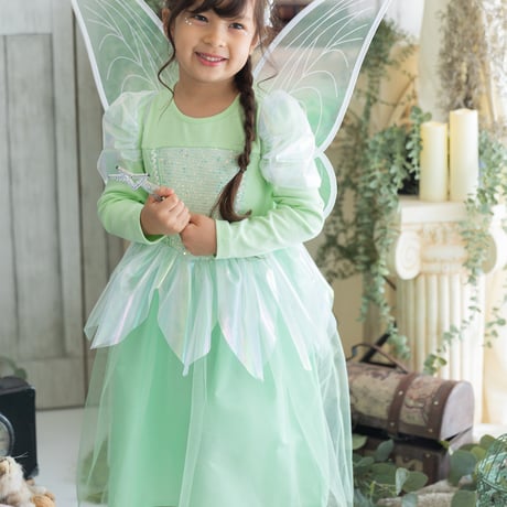 [予約] Fairy Wings/ Mini Recipe