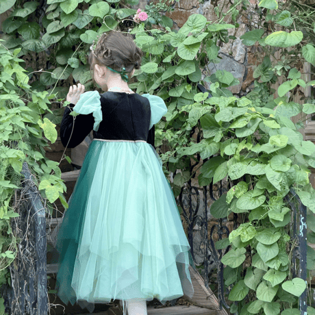 [予約] Evergreen Waltz Princess Dress (&Cape SET)