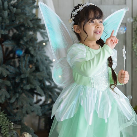 [予約] Fairy Wings/ Mini Recipe