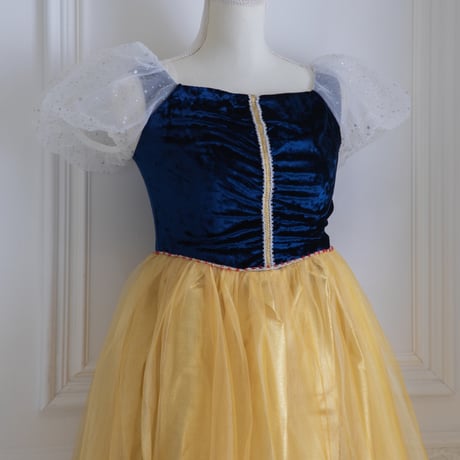 [予約] Midnight Gold Princess Dress (Adult)