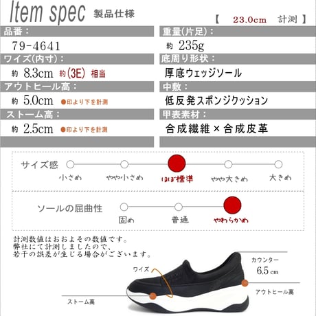 【2026年秋冬新作】radiant shoes スニーカー スリッポン レディース 3E 軽量 厚底