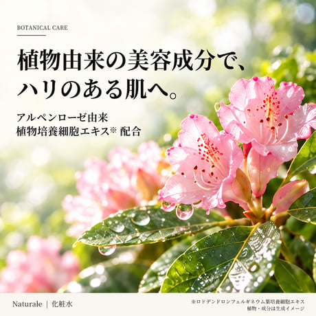 【定期便】10％OFF！化粧水★モイスチャーローション（150ml)