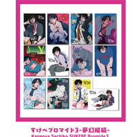 Sachiko Kaneoya SUKEBE art photocard 3 【Dreamlike Vertical Stripes] (Set of 2)/すけべブロマイド3-夢幻縦縞-（2枚組）