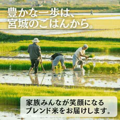 送料無料！令和7年産 宮城県産 笠原さんのブレンド米 5kg or 10kg お米 宮城 美味しい おいしいお米 おこめ 5キロ 10キロ 精米 国産米