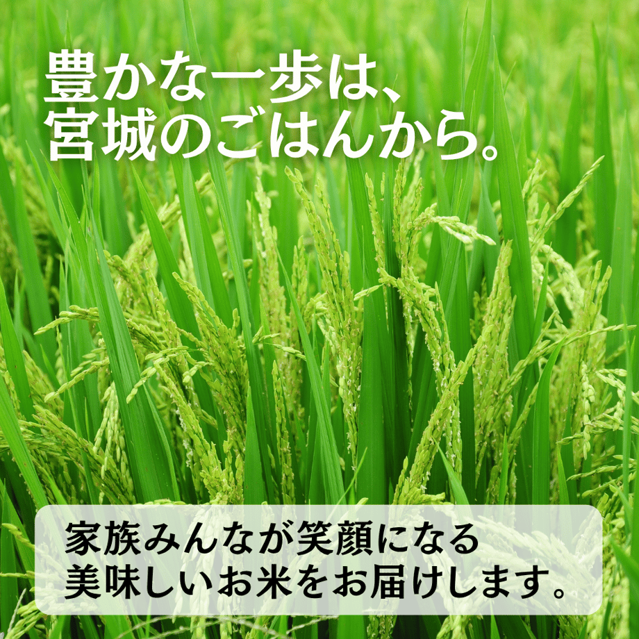 6a4f304653ee8d0724d937a3