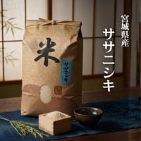 送料無料！令和7年産 宮城県産 笠原さんのササニシキ 5kg or 10kg お米 宮城 美味しい おいしいお米 おこめ 5キロ 10キロ 精米 国産米