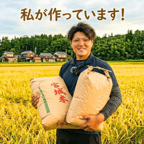 送料無料！令和7年産 宮城県産 笠原さんのササニシキ 5kg or 10kg お米 宮城 美味しい おいしいお米 おこめ 5キロ 10キロ 精米 国産米