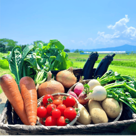 【定期購入 隔週配送】旬の波動野菜セット（栽培期間中農薬不使用＆栽培期間中浸透性農薬不使用野菜 混合)　送料別　 滋賀県産 クレジット決済のみ対応【野菜8~10品目詰め合わせ 品目指定不可】