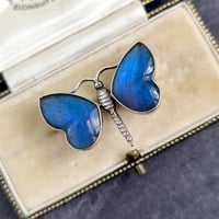 モルフォ蝶　バタフライウィング　ブローチ　イギリスアンティーク
