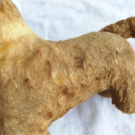 垂れ耳とポンチ目　犬のぬいぐるみ　フランスアンティーク