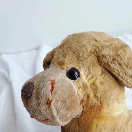 垂れ耳とポンチ目　犬のぬいぐるみ　フランスアンティーク