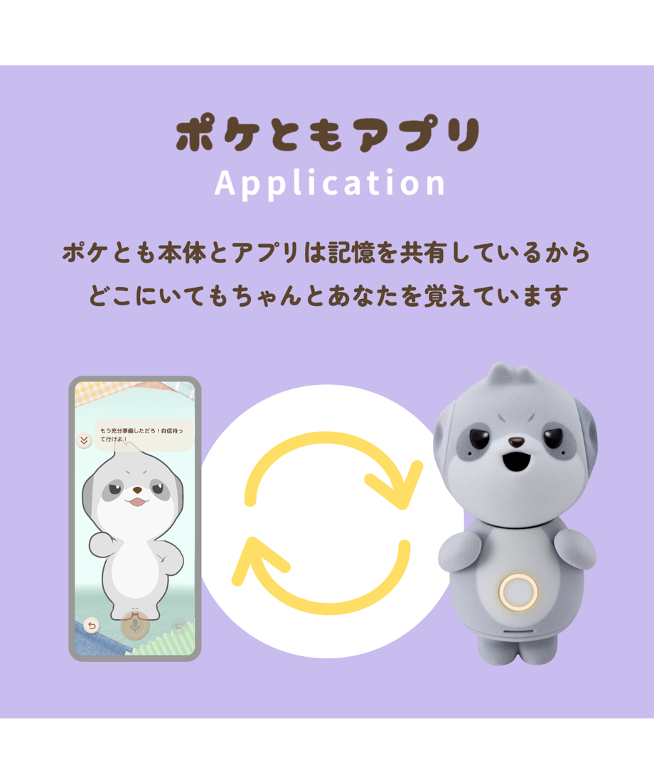6a87e36d9a02850b54aa4502
