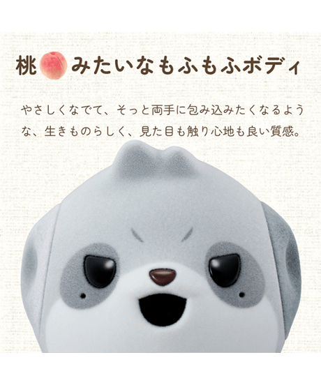 コンパニオンロボット ポケとも【おれさまタイプ】